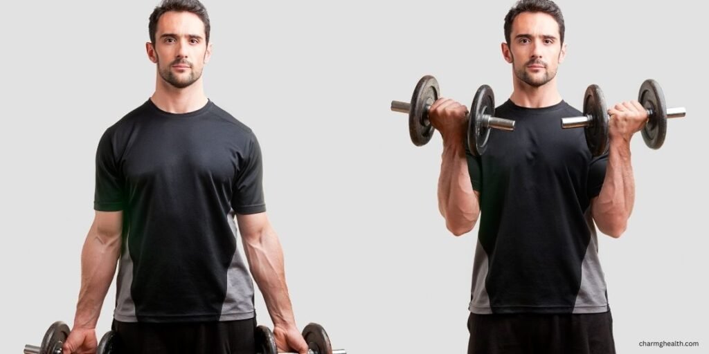 Hammer Curls: Way to Build Biceps with the Hammer Curl Using Proper Form to Maximize Strength