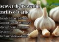Benefits of Garlic: Heart, Gut, and Immune Health Explained with Top Garlic Supplements